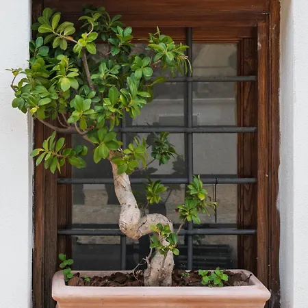 Amalfira Luxury Seaview Rooftop