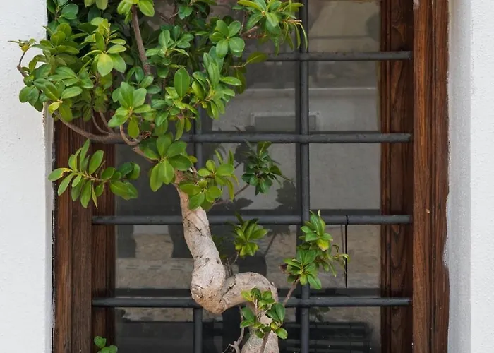 Amalfira Luxury Seaview Rooftop